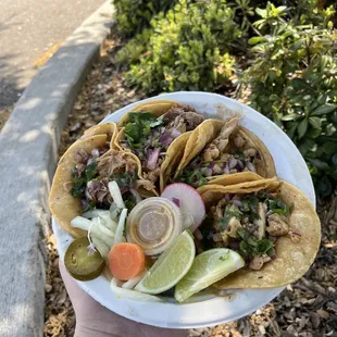 Pollo and carnitas tacos.