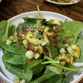 Avocado Salad