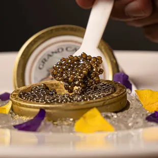 Sturgeon Caviar