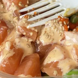 Salmon Bowl