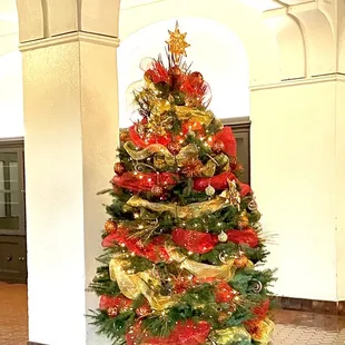 It&apos;s Christmas Time at the Y.  :)