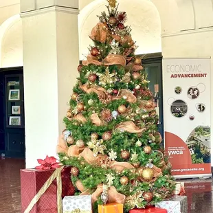 Beautiful tree : )