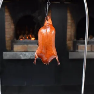 best Peking Duck | San Francisco