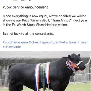 Posts by Z Bar Cattle Co