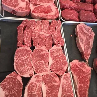 Z Bar Cattle