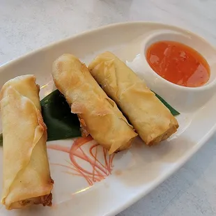 Vegetable Spring Rolls - SO YUMMY!