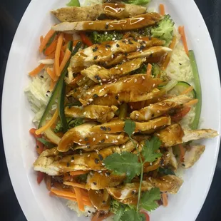 #55 Chicken Teriyaki Plate