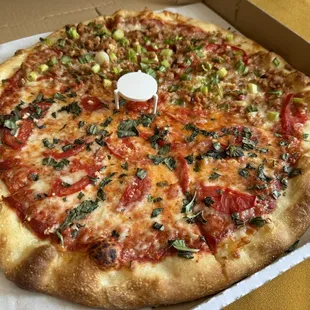 Scaliano and Vincent Van Dough Pizza