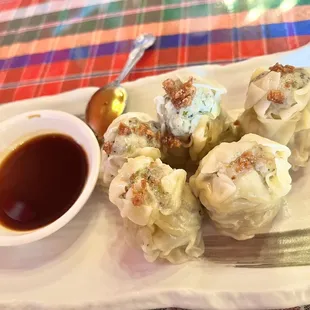 Thai dumplings