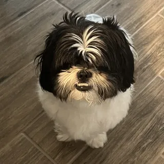 R L.