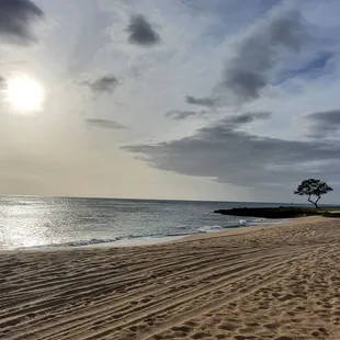 Waiting on the sunset.