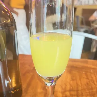 Mimosa