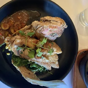 Red Snapper