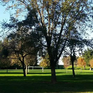 Large open space area