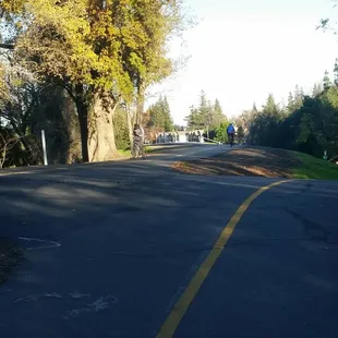 Trail along Sacramento River