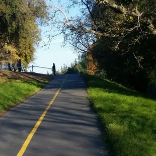 Bike Trail leading to Sacramento River Bike Trail