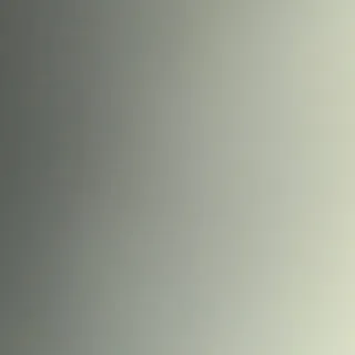 Z Z.
