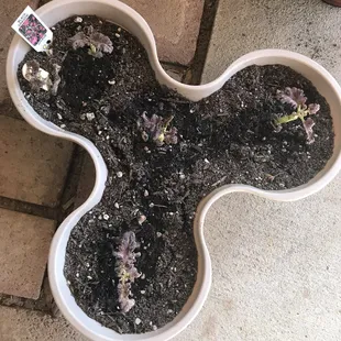 Love the designs of these pots.