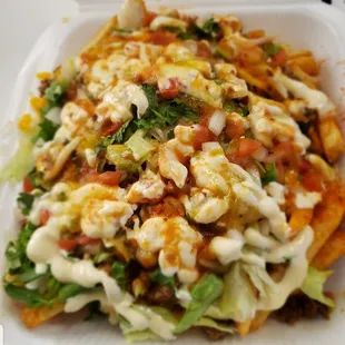 asada fries. onions, tomatoes, cilantro, cheese, crema with red and green salsa