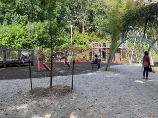 Woodland Discovery Playground at Shelby Farms