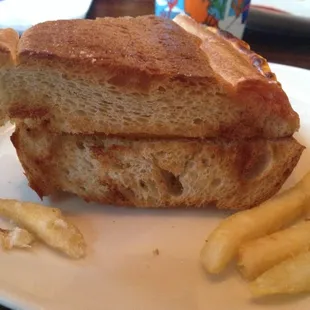 Child's Grilled Cheese - came with A LOT of fries
