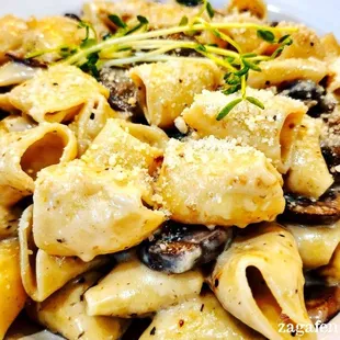 pasta dish, food, pasta