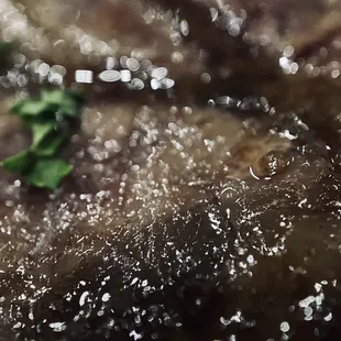 Zahir's Famous Prime Rib (12oz, cooked medium)