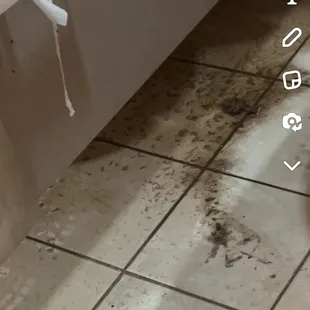 shit on floor