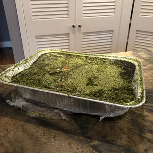 I brought home a giant pan os saag paneer to share with my neighbors.