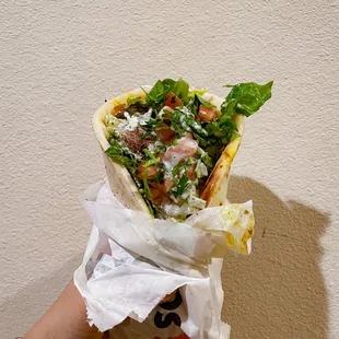 Gyros Sandwich