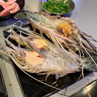 oysters, mussels, oysters and mussels, shellfish, food