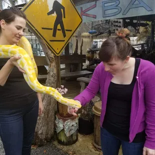There is just a room of snakes, they bring them to schools and they are happy to let you hold them.