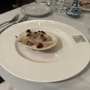 Scallop crudo