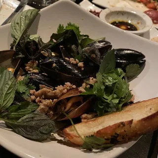 Black Mussels