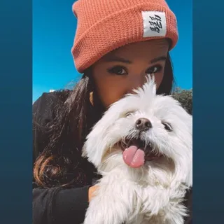J D.