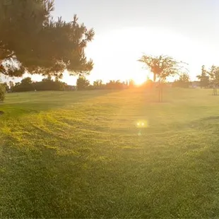 Grassy areas