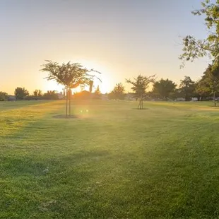 Grassy areas