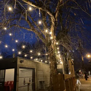 a tree with lights hanging from it