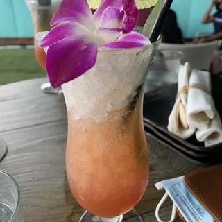 Bird of Paradise