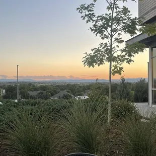 Sunset on the patio, Parker location