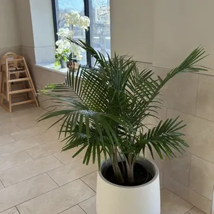 January 2025 interior