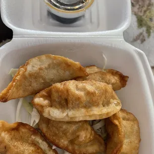Delivery Potstickers