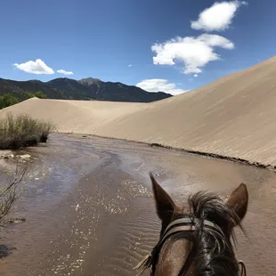 Zapata Ranch: A Nature Conservancy Preserve
