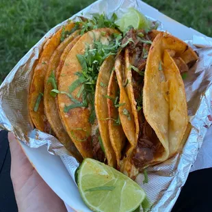 Birrilla Birria Special Tacos
