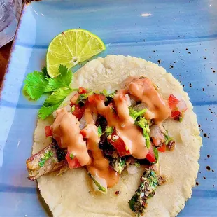 WTF? where's the fish? tiny fish grilled taco. Really Bad, Not Good=No Bueno