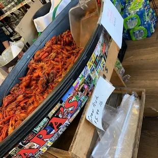Freshly boiled crawfish