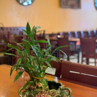 sushi and sashimi, interior