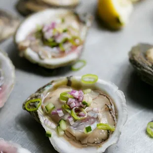 Murder Point Oysters