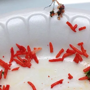 Wire is their in the biryani.