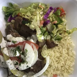 Gyro Plate